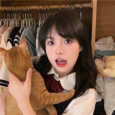 假如猫从世界上消失了